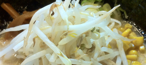 学生さん大盛り無料